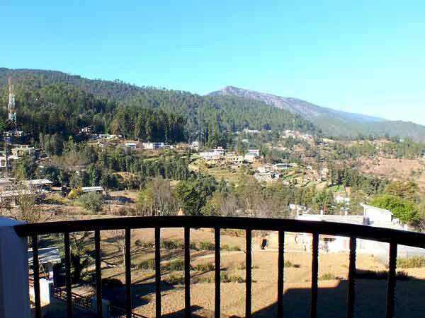 Nature's Treat Resort, Chamoli 4